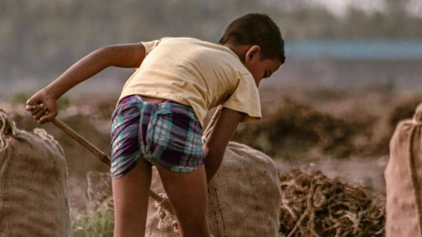 Report: US States “Salvadoran Children Face Worst Forms of Child Labor” — Informe de EUA señala que “los niños de El Salvador están sometidos a las peores formas de trabajo infantil”