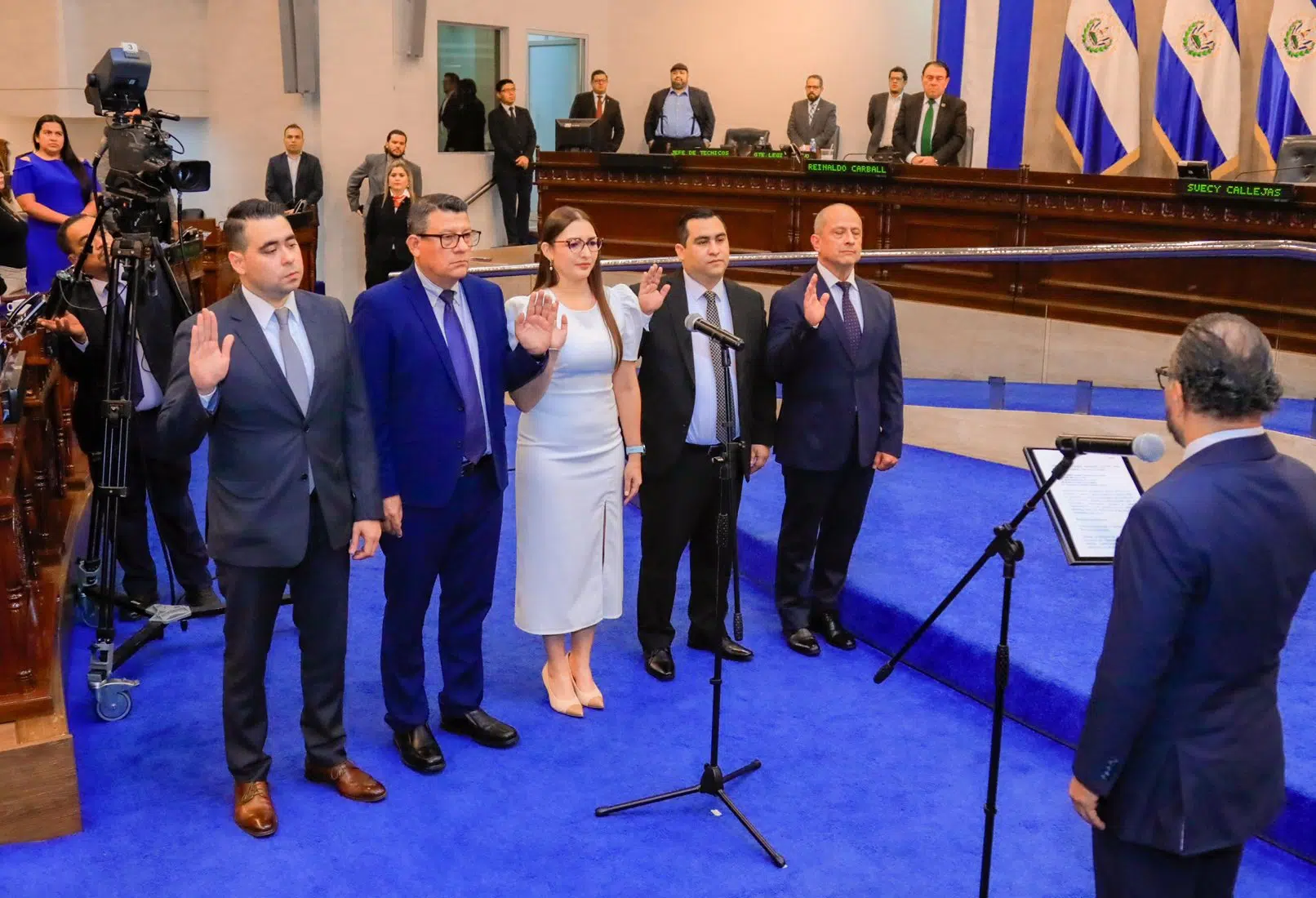 Deputy Magistrate Elected was President of the National Electoral Commission of Nuevas Ideas — Magistrada suplente electa fue presidenta de la Comisión Nacional Electoral de Nuevas Ideas