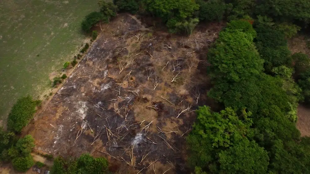 El Salvador Ignores Its Commitments to Biodiversity