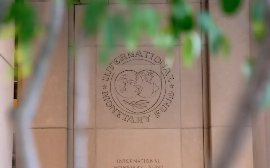 IMF Urges El Salvador to Enact New Taxes to Shore Up Revenue — FMI recomienda al gobierno impulsar impuestos en El Salvador para tener ingresos