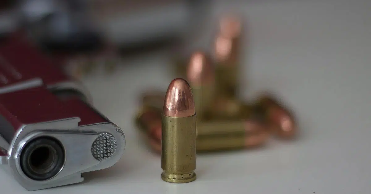 FESPAD Questions Legalization of Guns Without Receipt Requirement — FESPAD cuestiona legalización de armas sin factura como requisito