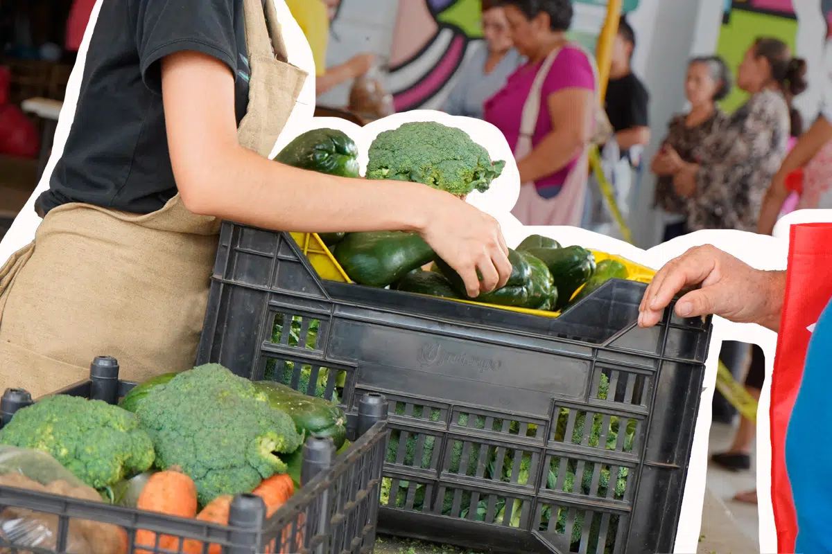 Agromarkets are Cheaper, but not as Much as Announced by Agriculture Ministry— Agromercados son más baratos, pero no tanto como anuncia Agricultura