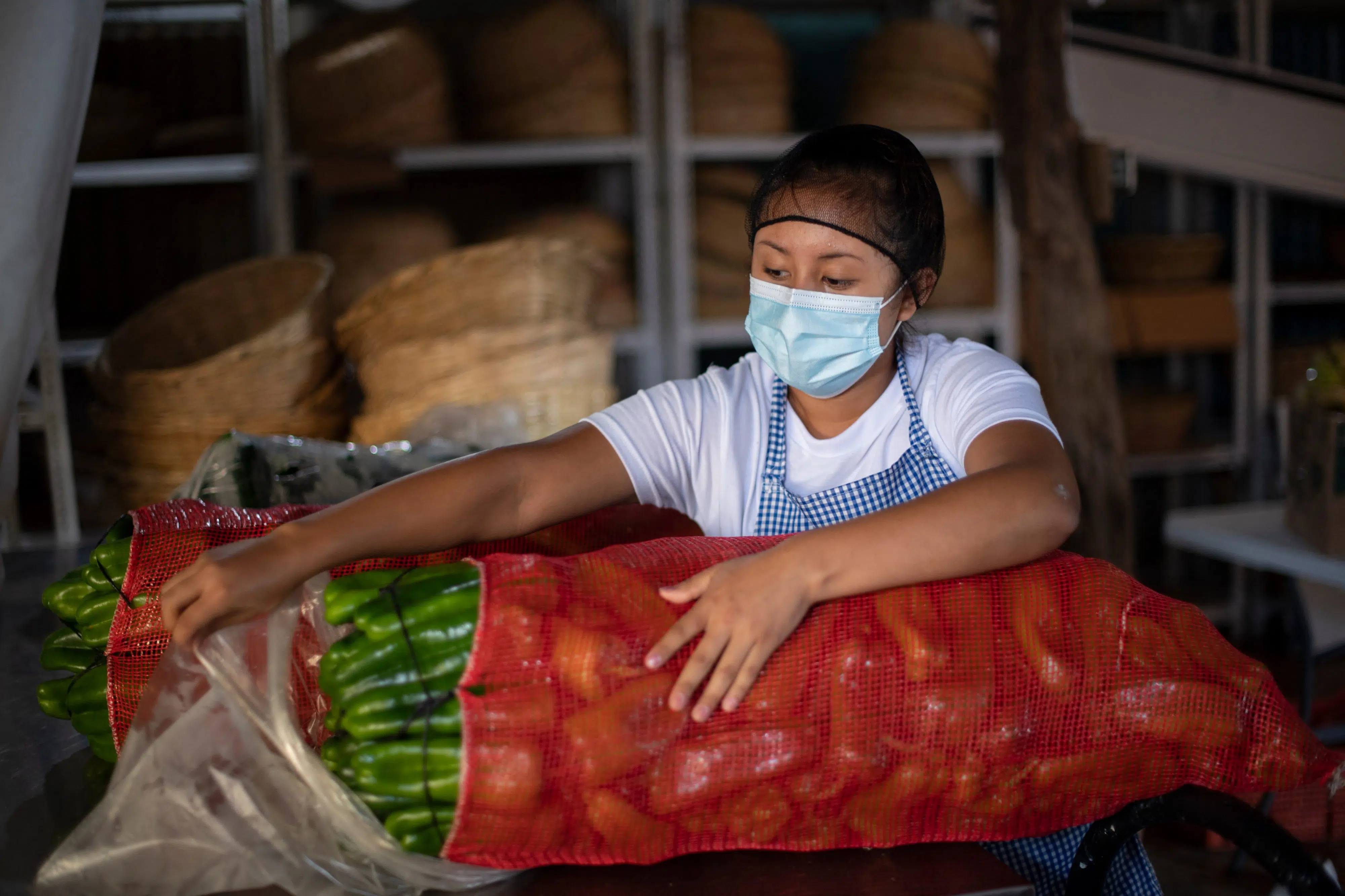 Food Insecurity Persists Due to High Food Prices — Inseguridad alimentaria continúa por los altos precios en alimentos