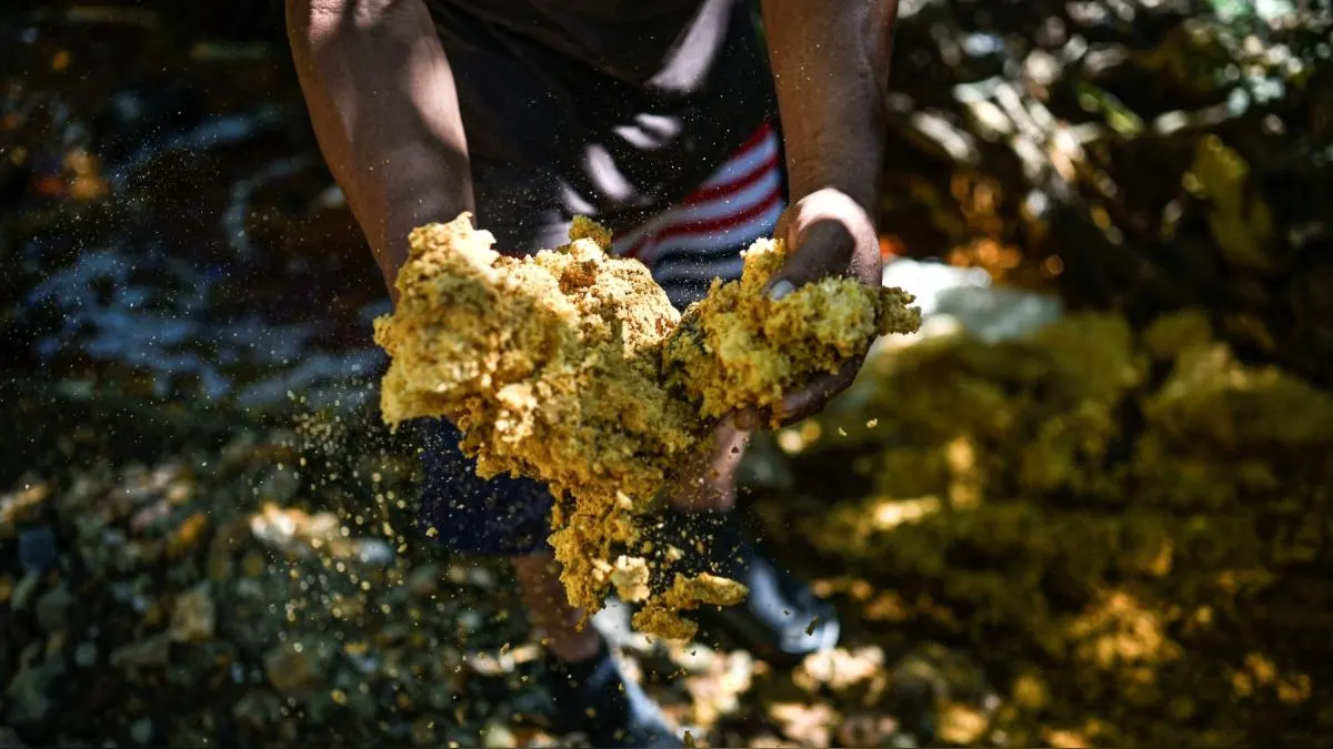 “In 200 Years of Mining in El Salvador, Communities Remain Poor” — “En 200 años de explotación minera en El Salvador, las comunidades siguen siendo pobres”