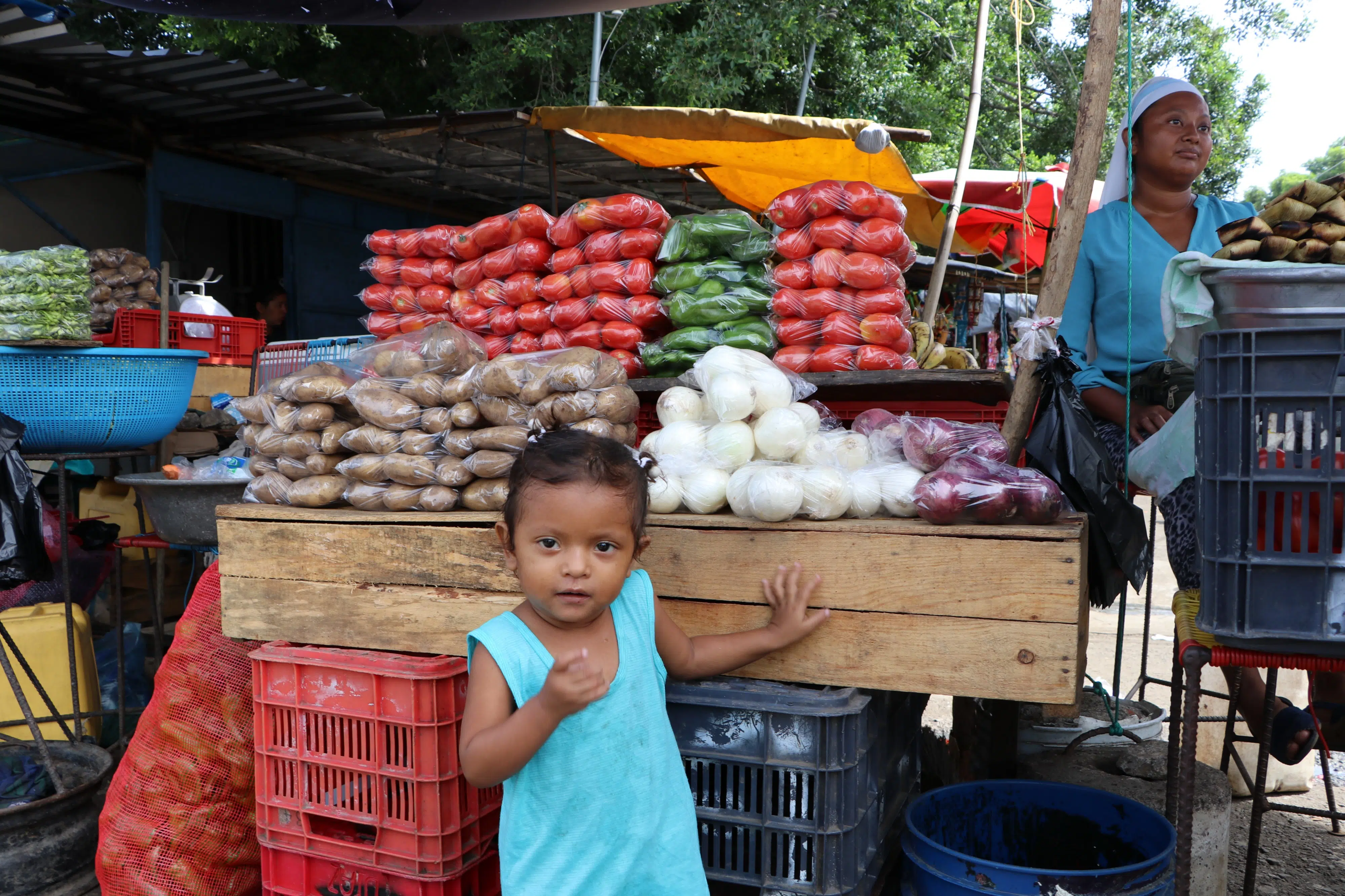 Urban Population Paid US$246.06 for Food in December 2024 — La población de la zona urbana pagó $246.06 por sus alimentos en diciembre de 2024