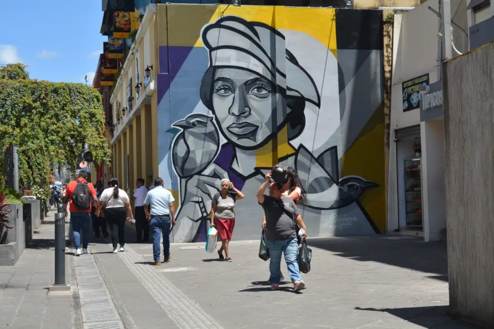 More Than 60% of Salvadorans Don’t Express Political Opinions: Latinobarómetro —