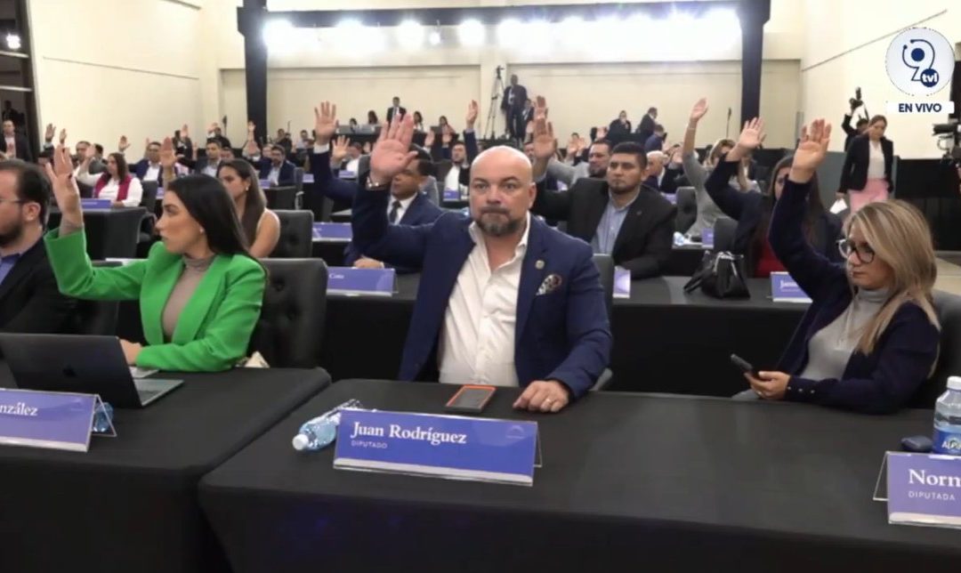 “A Monument to Stupidity”: Criticisms of Reforms to the Ley Bitcoin in El Salvador — “Un monumento a la estupidez”: críticas a reformas a la ley Bitcoin en El Salvador