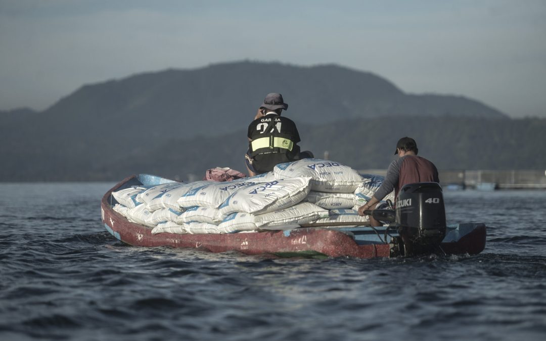 San Salvador Quenches Its Thirst with Heavy Metals — San Salvador calma su sed con metales pesados