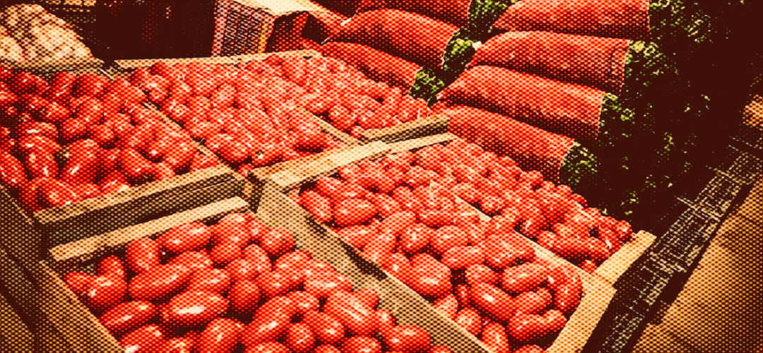 Salvadorans Hard-Hit by Unemployment and the High Cost of the Basic Food Basket in 2024, According to Iudop Survey — Salvadoreños golpeados por desempleo y alto costo de la canasta básica en 2024, según encuesta del Iudop