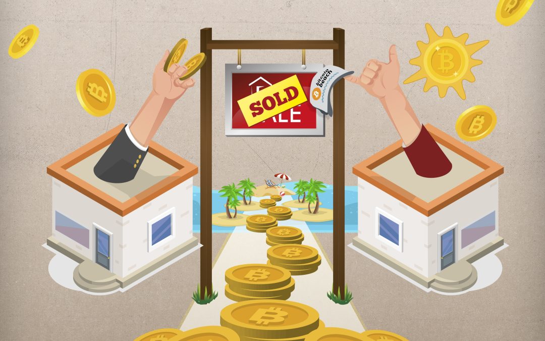 Bitcoiners: The New Owners of El Zonte — Bitcoiners: los nuevos dueños de El Zonte