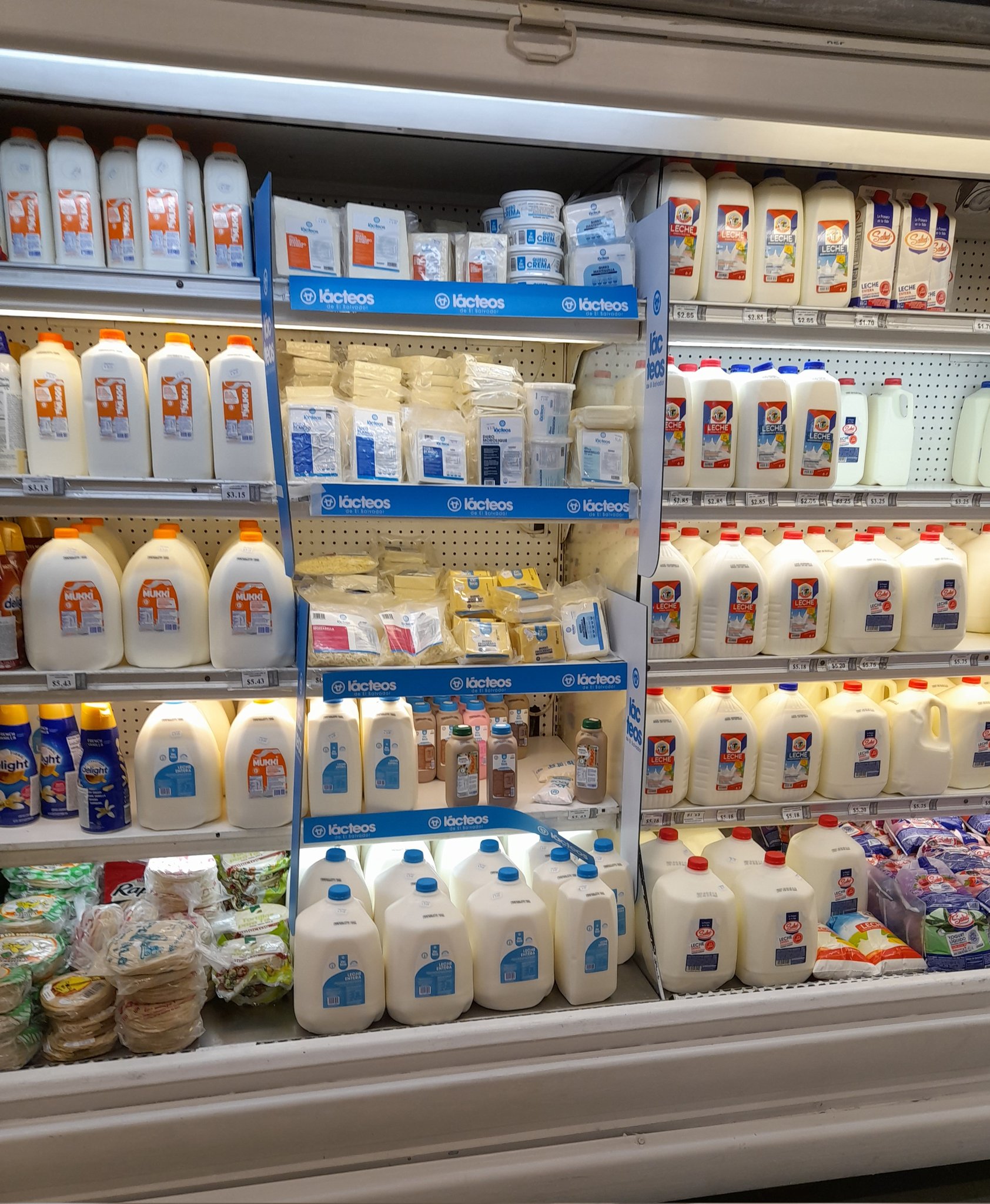 Private Companies Produce Dairy Products Brand for Government — Empresas privadas producen para Gobierno marca Lácteos de El Salvador