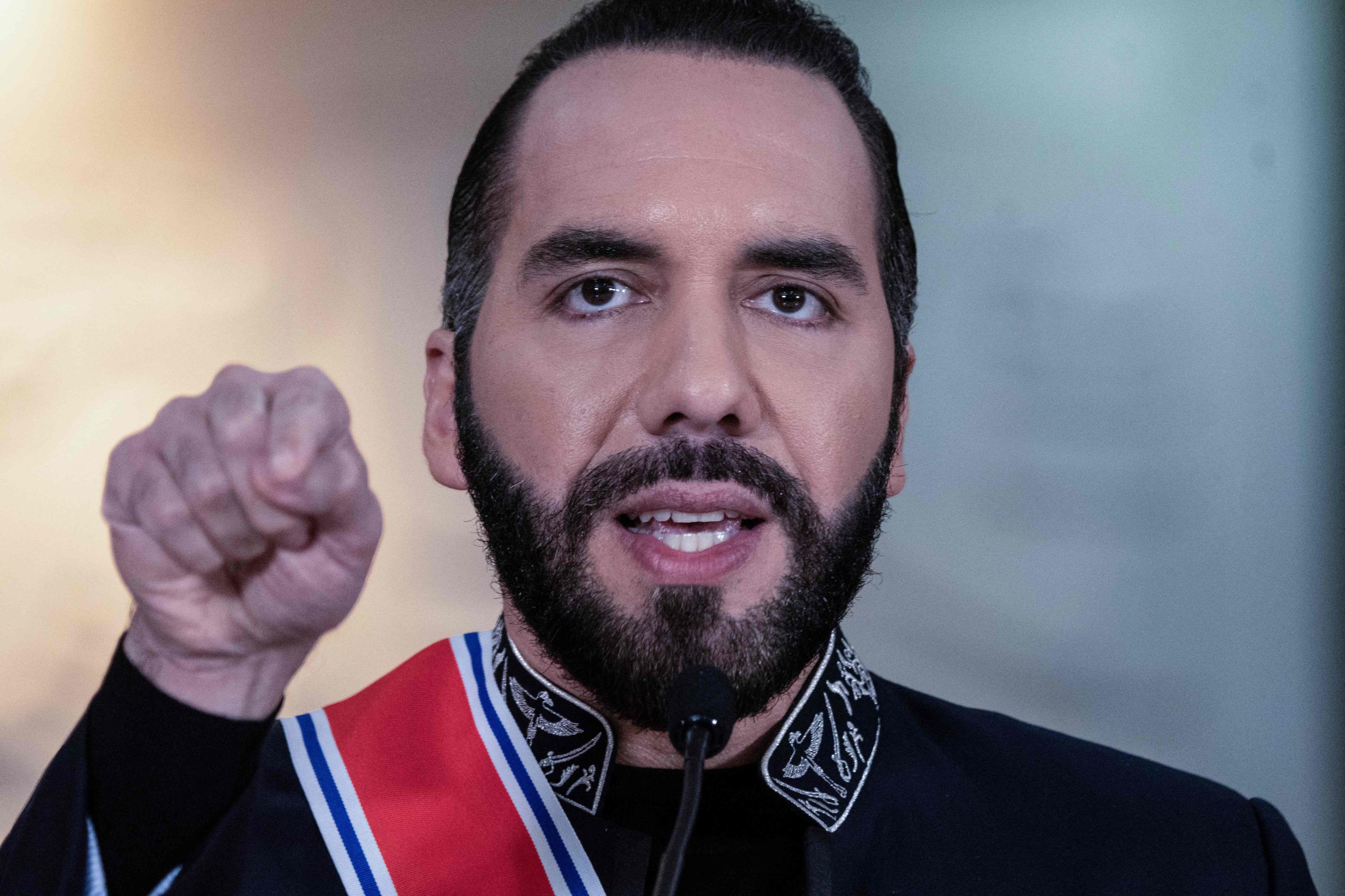 Nayib Bukele