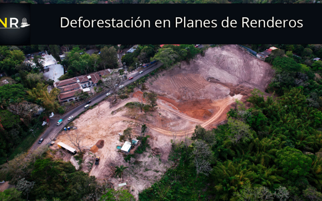 Municipality changed land classification so that a company could cut down trees in Los Planes de Renderos — Alcaldía modificó clasificación de suelo para que empresa talara árboles en Los Planes de Renderos