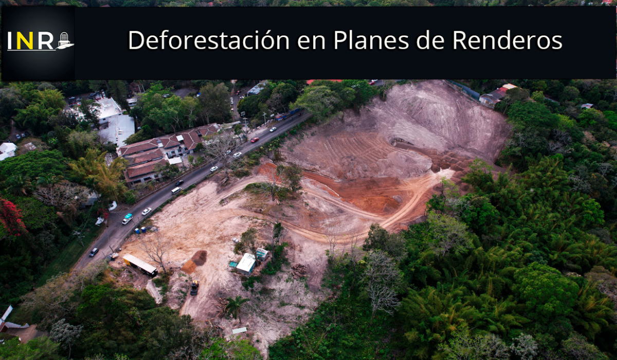 Municipality changed land classification so that a company could cut down trees in Los Planes de Renderos — Alcaldía modificó clasificación de suelo para que empresa talara árboles en Los Planes de Renderos