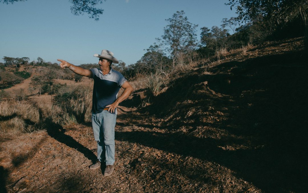 The Farmer Who Lives on a Gold Mine — El campesino que vive sobre una mina de oro