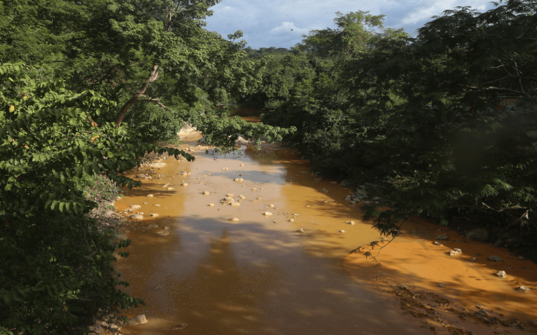“The water isn’t even fit for washing clothes” after mining contamination in La Unión, according to organization — “El agua no sirve ni siquiera para lavar la ropa” tras contaminación por minería en La Unión, según organización