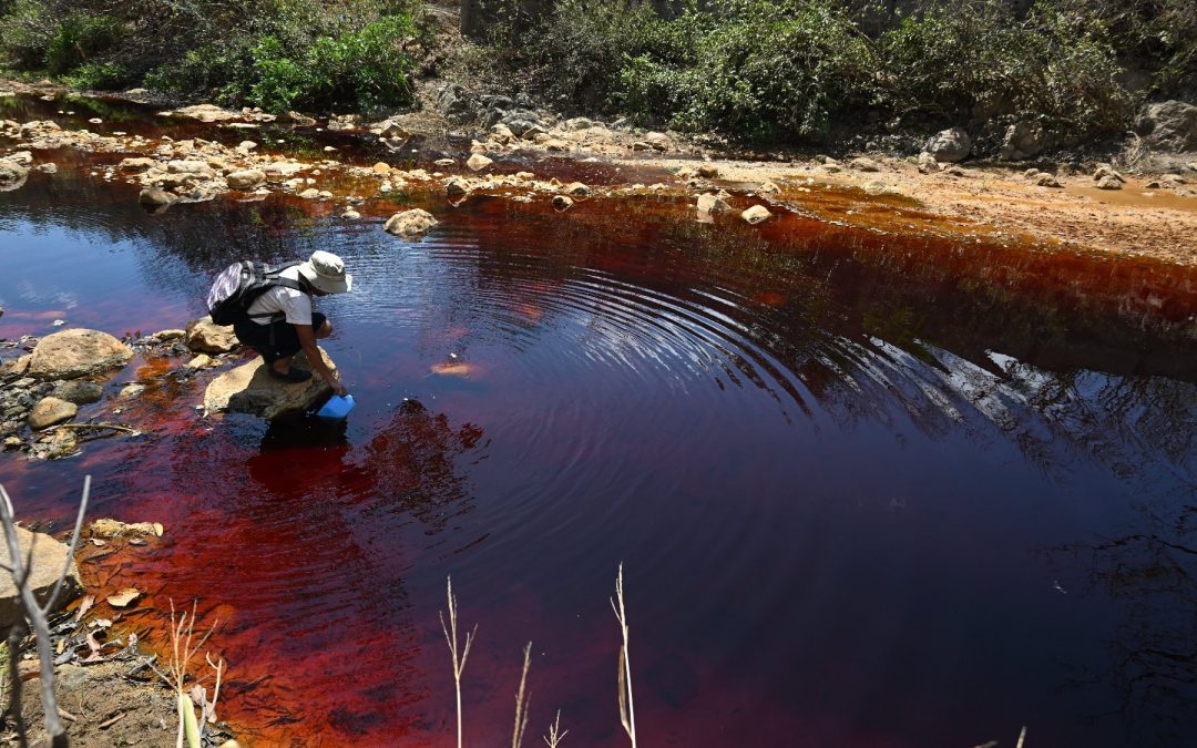 Information on San Sebastián River Contaminated by Mining Classified for 7 Years — Reservan por 7 años información sobre el río San Sebastián contaminado por minería