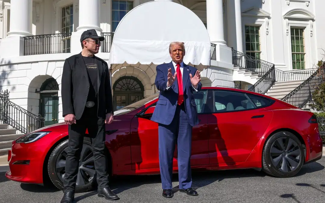 Dear tourists: Come to America! You might win a free trip to El Salvador! — Estimados turistas: ¡Vengan a Estados Unidos! Podrían ganarse un viaje gratis a El Salvador