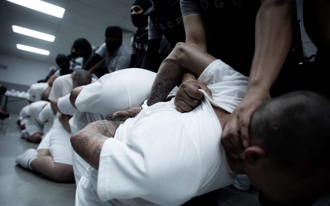 Trump and Bukele: Cruelty Is the Message — Trump y Bukele, la crueldad es el mensaje