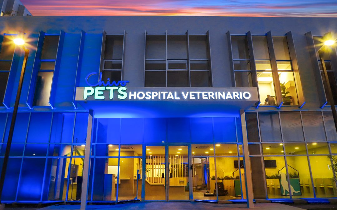 Bitcoin Pet Hospital Spent More than 26 National Hospitals Combined in January — Chivo Pets usó más presupuesto que 26 hospitales nacionales en enero