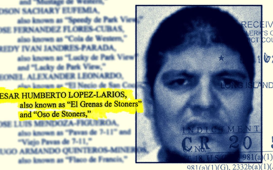 Could US Deportations Compromise Trump Administration’s MS13 Crackdown? — ¿Podrían las deportaciones de Estados Unidos comprometer la ofensiva contra la MS13 de la administración Trump?