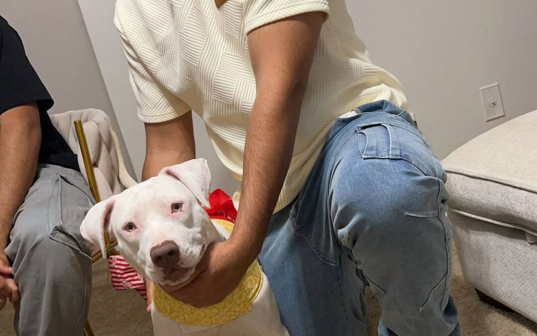 U.S. sent Venezuelan man with pending political asylum case to El Salvador mega prison — E.E.U.U. envió a venezolano con caso de asilo político pendiente a megacárcel de El Salvador