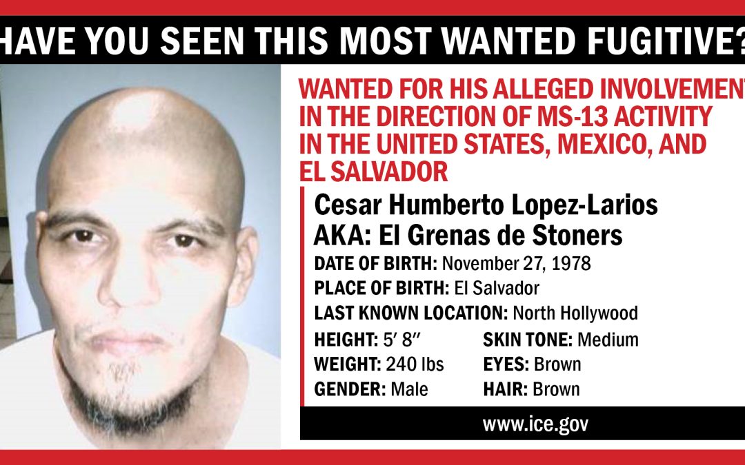‘Historical loss’: Alleged gang leader evades US justice with deportation to El Salvador — ‘Pérdida histórica’: un presunto líder de pandilla evade la justicia estadounidense con su deportación a El Salvador