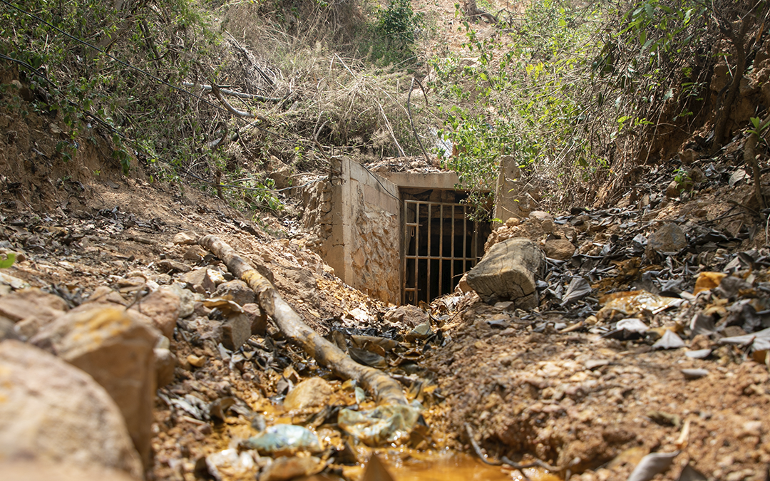 Organizations Demand State Take Measures to Address El Salvador Water and Food Crisis — Organizaciones exigen al Estado medidas para enfrentar la crisis hídrica y alimentaria en El Salvador