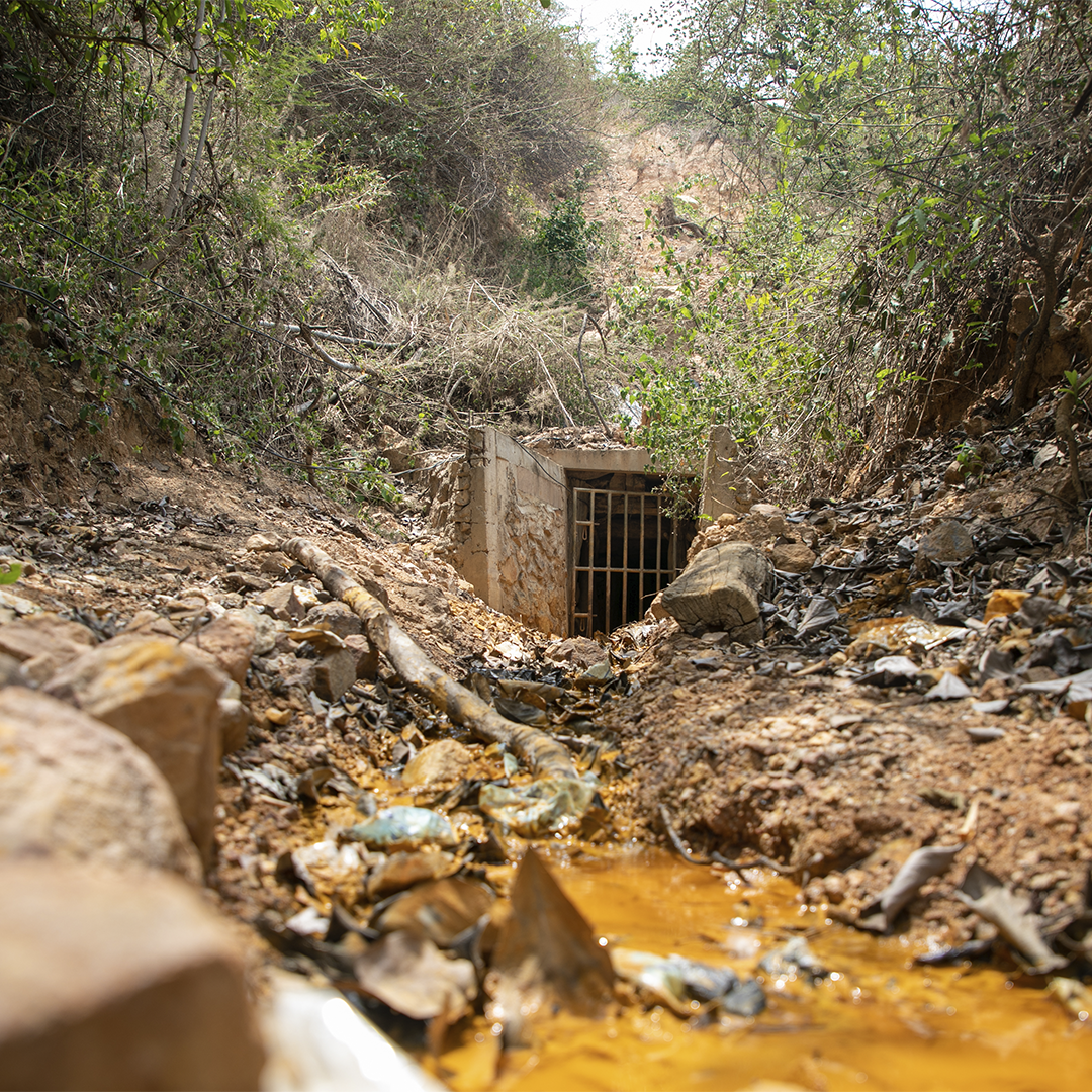 Organizations Demand State Take Measures to Address El Salvador Water and Food Crisis — Organizaciones exigen al Estado medidas para enfrentar la crisis hídrica y alimentaria en El Salvador