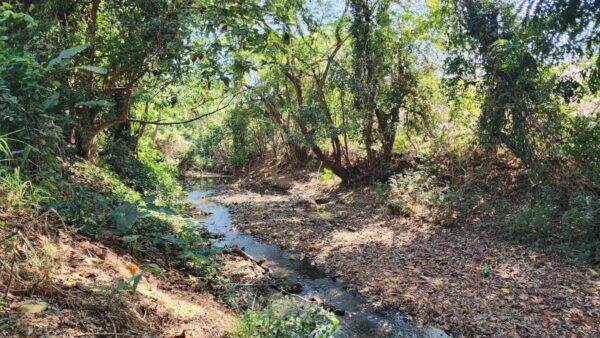The Moscua River is Dying — El río Moscua muere