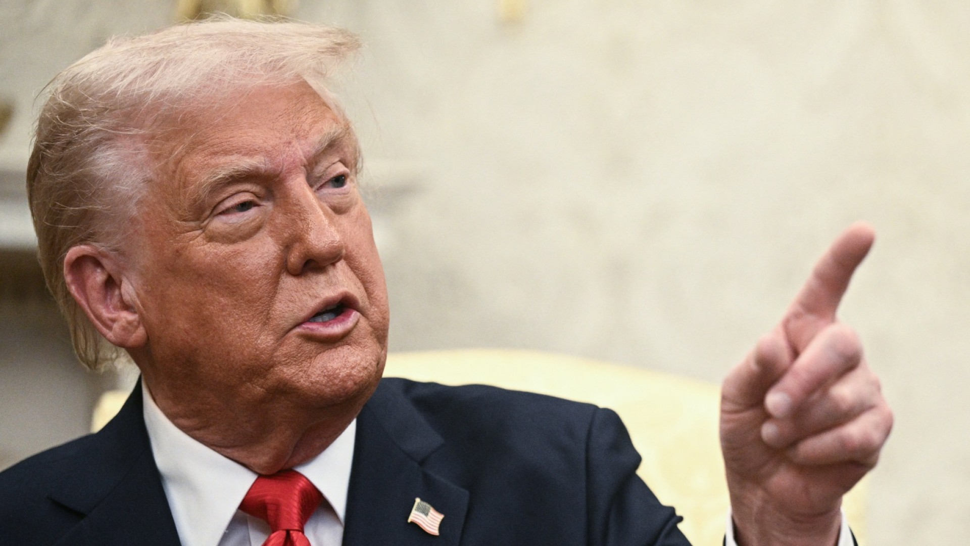 ‘Obviously illegal’: Experts pan Trump’s plan to deport ‘homegrown criminals’ — “Obviamente ilegal”: Expertos critican el plan de Trump de deportar a “criminales nacidos en el país”