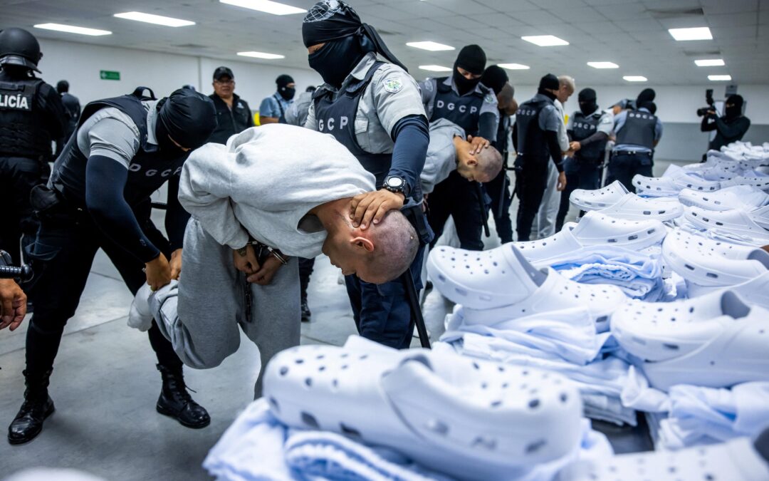 Bukele responds to Trump, “Onward together!” after more prisoners are sent to El Salvador — Bukele le responde a Trump “¡Adelante juntos!”, tras envío de más presos a El Salvador