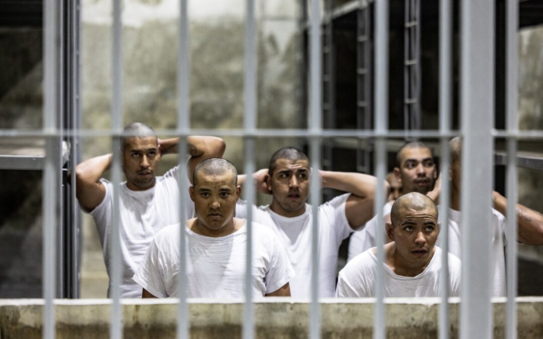 Trump Wants to Turn El Salvador Into His Penal Colony — Trump quiere convertir a El Salvador en su colonia penitenciaria