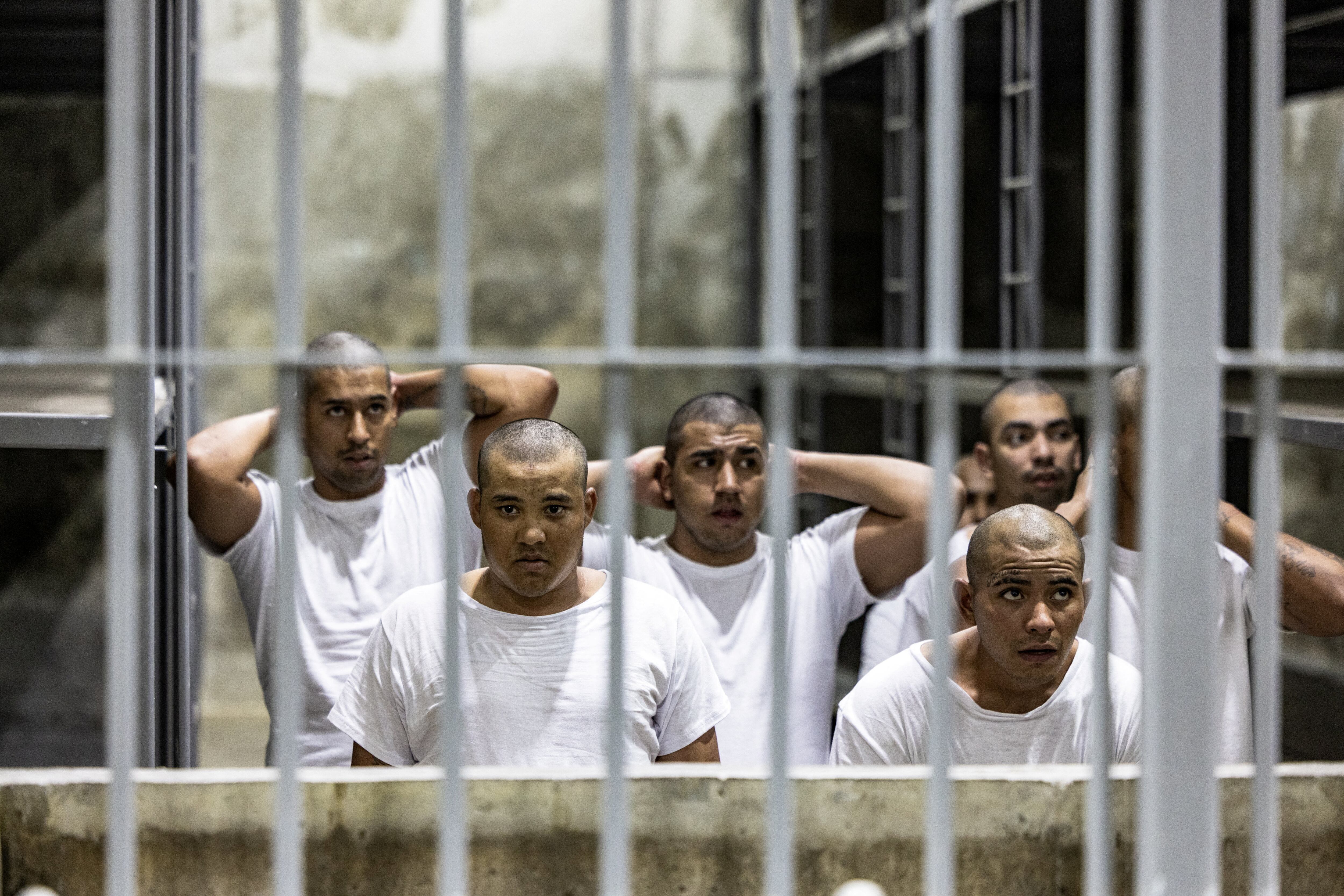 Trump Wants to Turn El Salvador Into His Penal Colony — Trump quiere convertir a El Salvador en su colonia penitenciaria