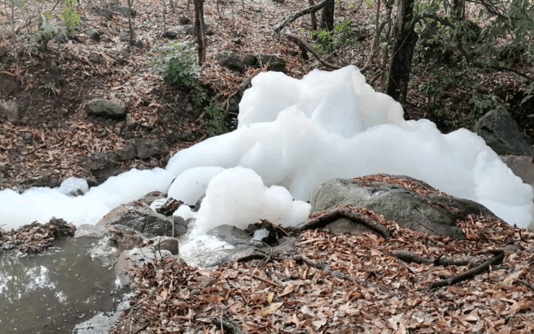 Tecoluca Residents Report White Foam in Rivers Near CECOT — Habitantes de Tecoluca denuncian presencia de espuma blanca en ríos cercanos al CECOT