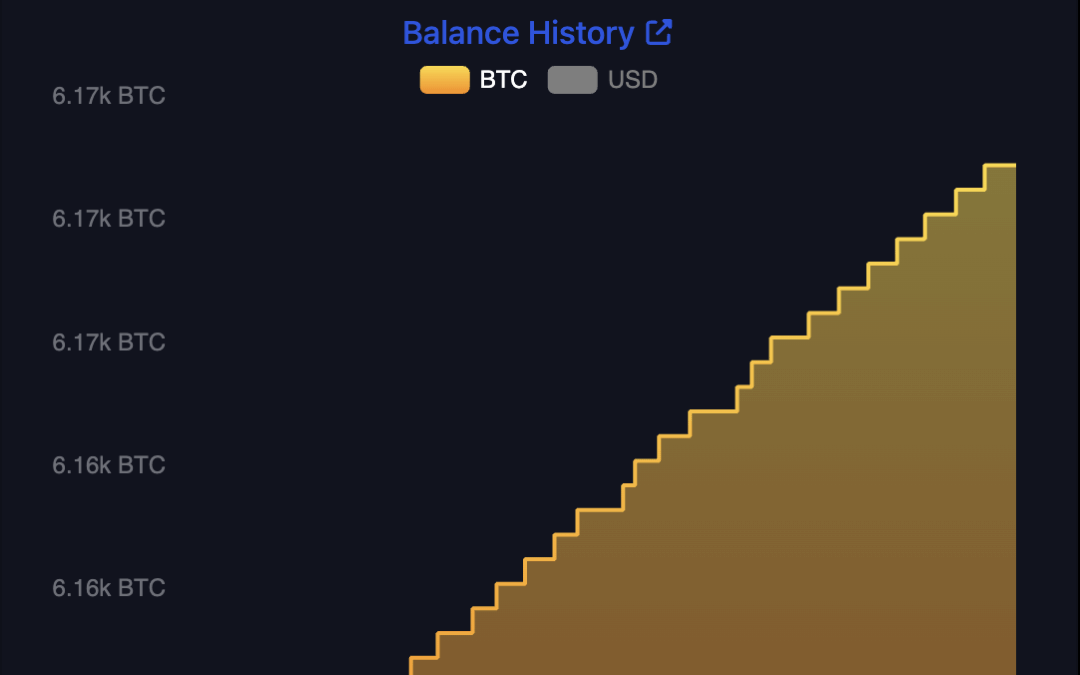 El Salvador stacks 7 Bitcoin in last week, despite IMF deal — El Salvador acumuló 7 bitcoins la semana pasada, pese al acuerdo con el FMI