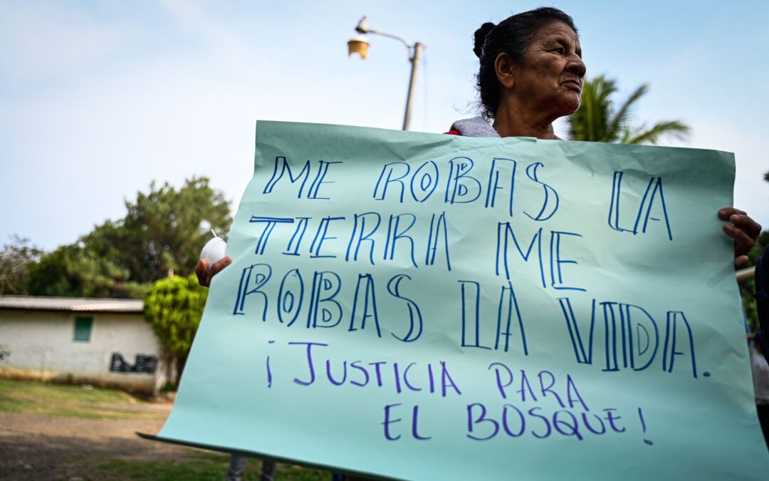“We’re not leaving here,” Cooperativa El Bosque — «De aquí no vamos a salir», Cooperativa El Bosque