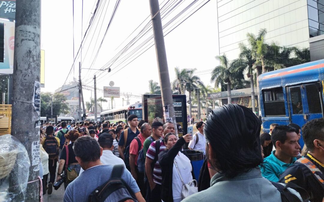 National Transportation Board: Free fares were only planned for the west — Mesa Nacional del Transporte: la gratuidad estaba prevista solo para occidente