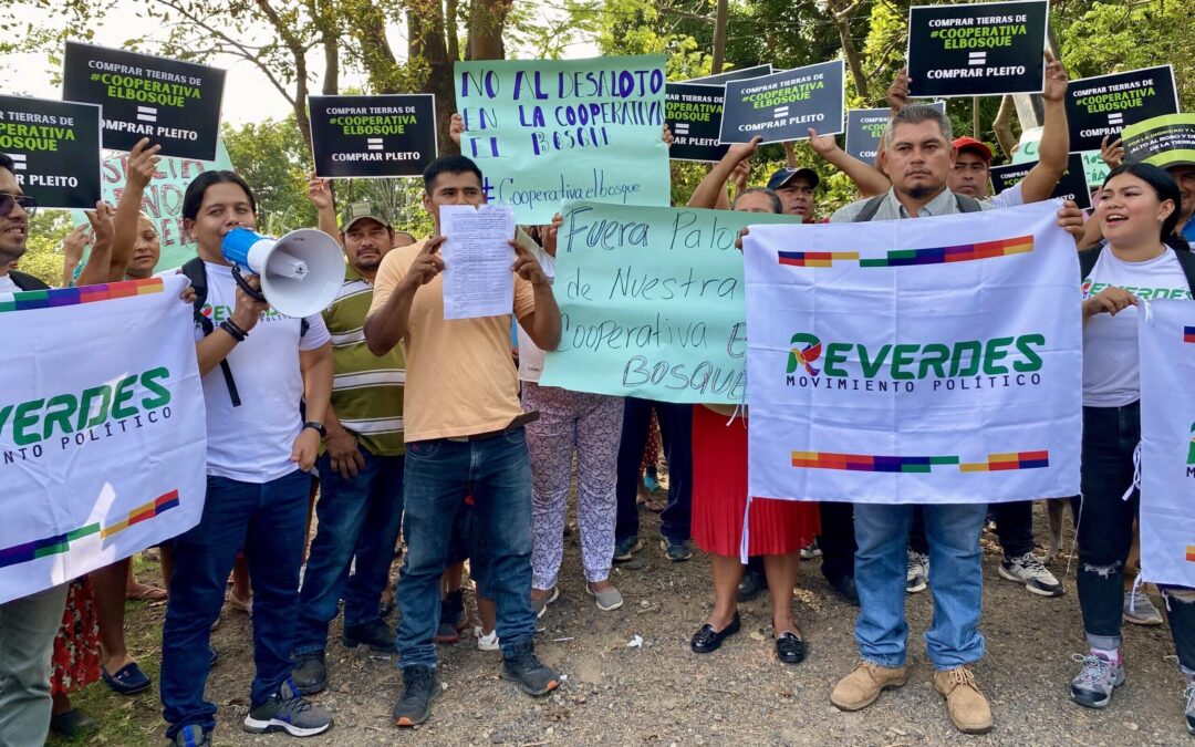 El Bosque Cooperative Reports Fraud, Eviction of 300 Families — Cooperativa El Bosque denuncia estafa y desalojo de 300 familias
