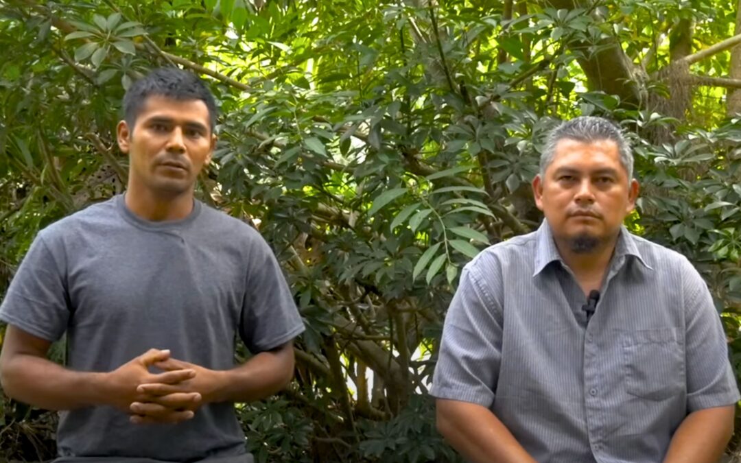 El Bosque Cooperative Leaders Surface to Denounce Bukele Government Harassment — Líderes de El Bosque reaparecen para denunciar el acoso del Gobierno de Bukele