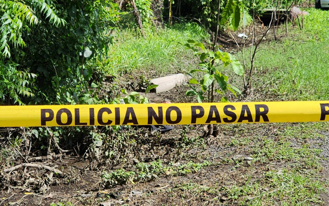 Collective tallies 40 deaths in June, from homicides to suspicious fatalities — Colectivo reporta 40 fallecidos en junio entre homicidios y muertes sospechosas