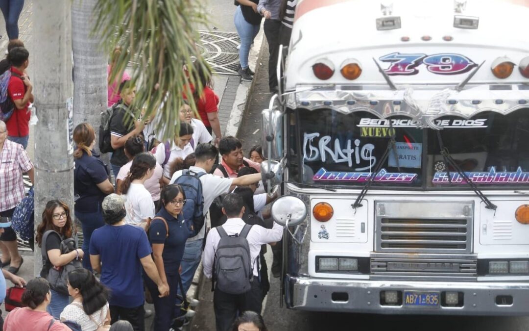 “We believe it is unjust and inhumane”: National Transport Roundtable recounts the arrests of business owners — “Creemos que es injusto y es inhumano”: Mesa Nacional de Transporte relata las capturas de empresarios