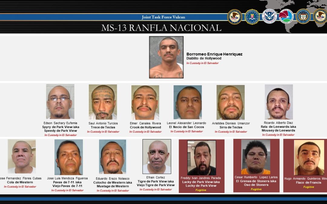 Another Salvadoran Gang Member Pleads Guilty in the U.S. — Otro pandillero salvadoreño se declara culpable en EE.UU.