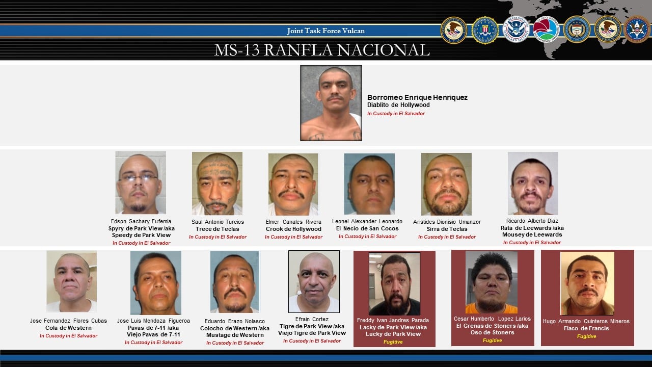 Another Salvadoran Gang Member Pleads Guilty in the U.S. — Otro pandillero salvadoreño se declara culpable en EE.UU.
