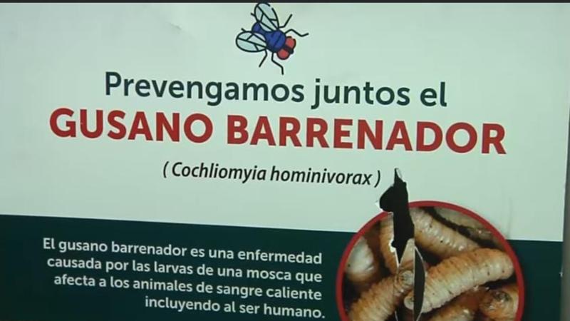 Medical Association Demands Transparent Information on Myiasis Cases — Colegio Médico exige información transparente sobre casos de miasis