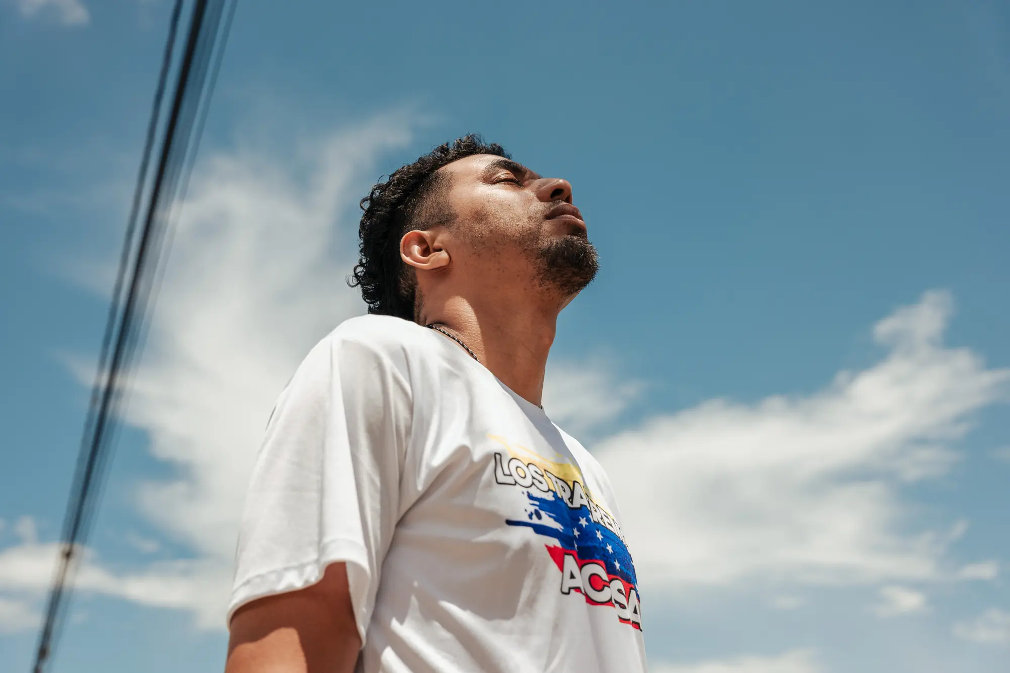 Now That They’re Free — Ahora que están libres