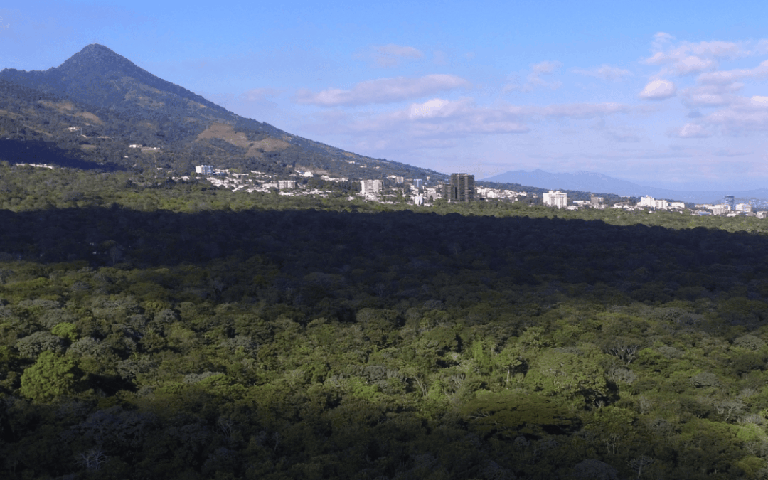 Environmentalists Warn: New Construction in El Espino Will Exacerbate Water Crisis — Ambientalistas: Nueva construcción en El Espino incrementará la crisis hídrica