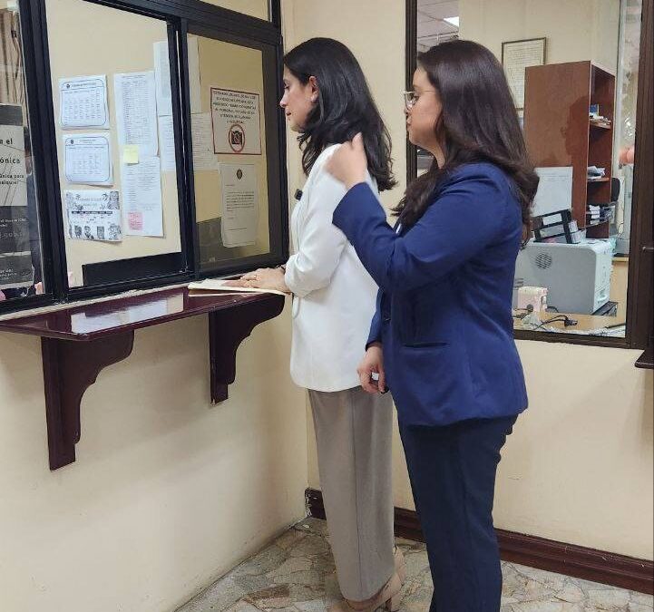 Constitutional Challenge Filed Against Reform Allowing Indefinite Presidential Reelection — Demanda de inconstitucionalidad a reforma que permite la reelección presidencial indefinida