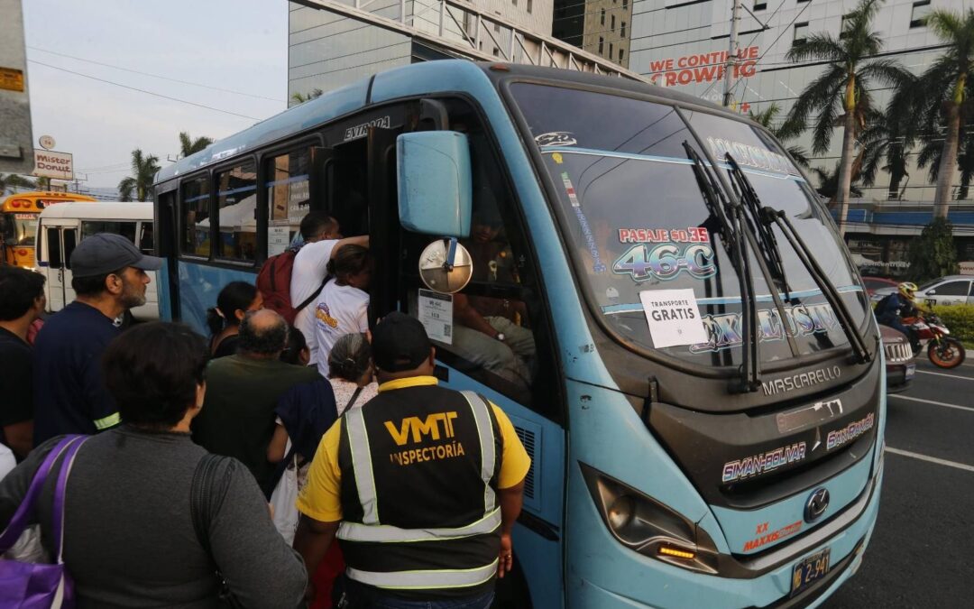 “The Decree Freezing Fares Is Killing Us Slowly,” Say Transport Operators — “El decreto que mantiene las tarifas nos mata a pausas”, dicen transportistas
