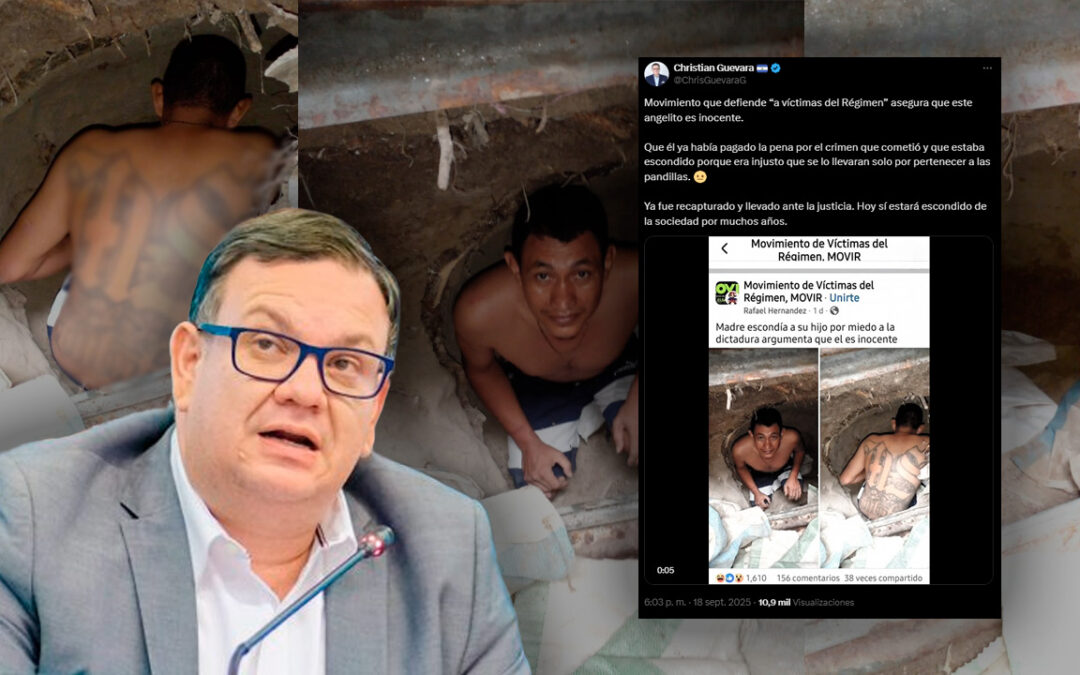 Lawmaker Guevara Uses False Information to Accuse Movir of Defending Gang Members — Diputado Guevara usa información falsa para acusar a Movir de defender pandilleros